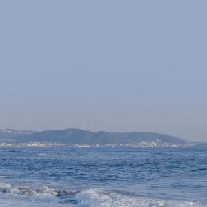 神宫寺和叔父才知最绝项
